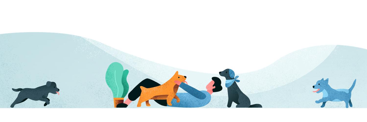 scoutforpets's profile banner image