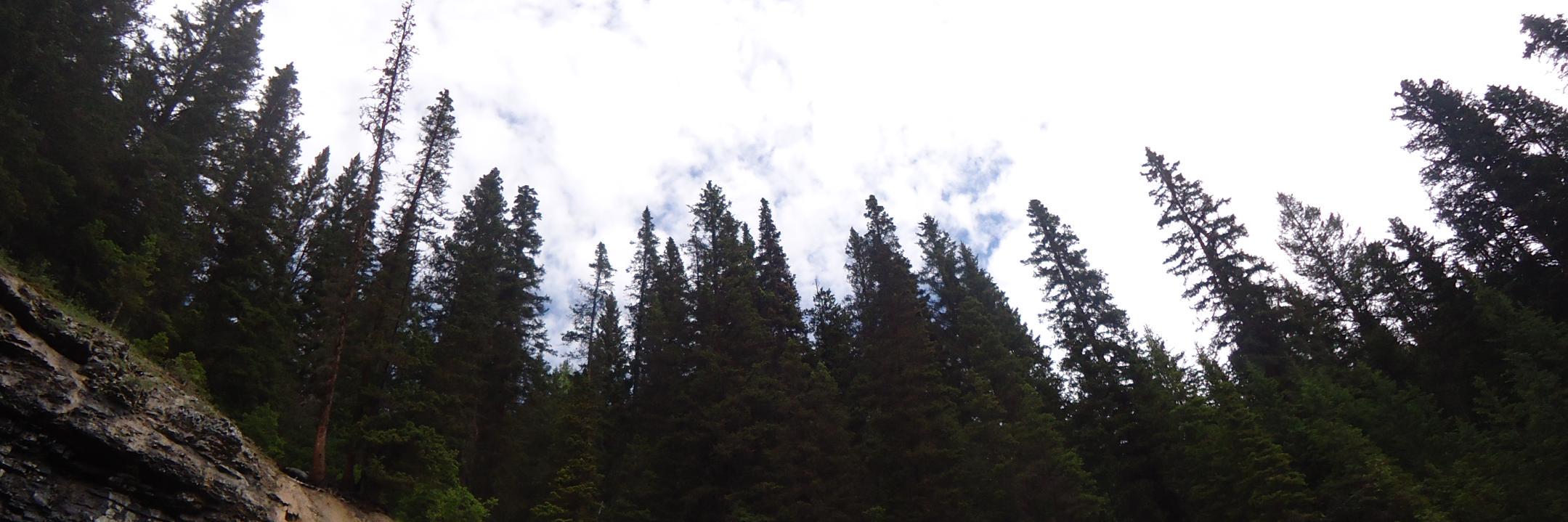 selinaboland's profile banner image