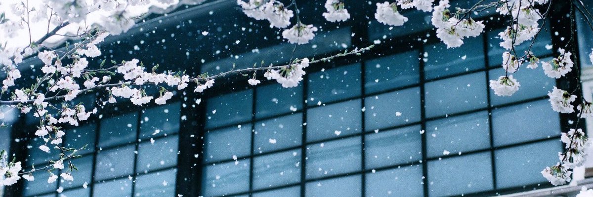 ImSarim's profile banner image