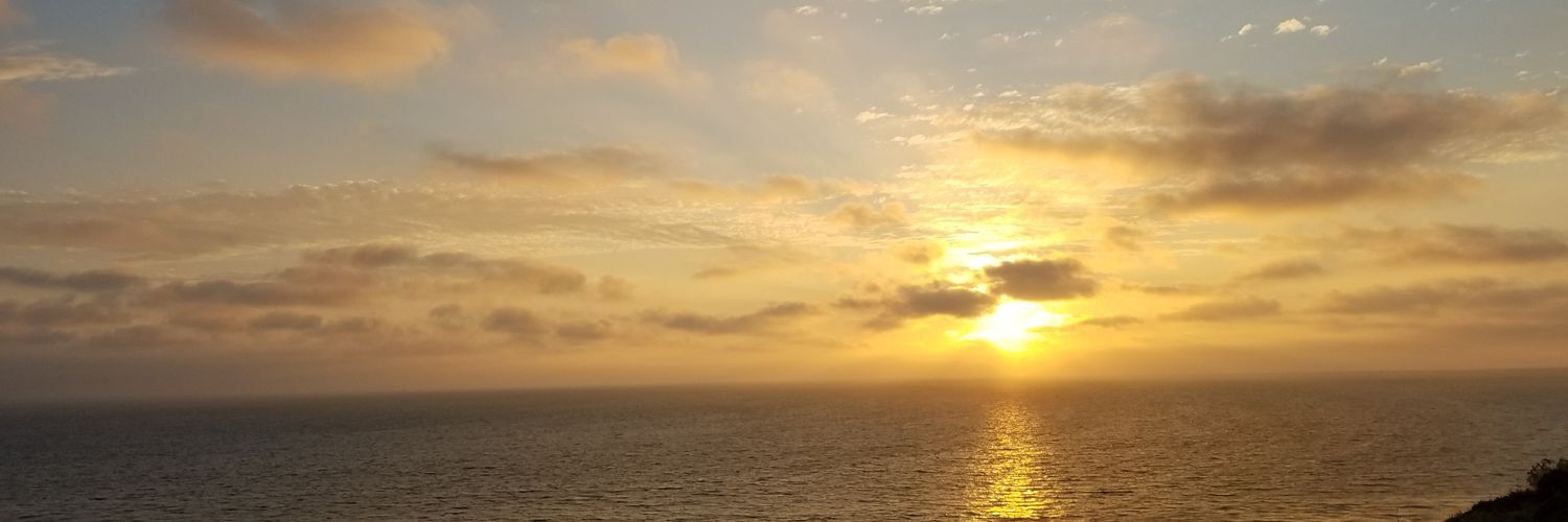 ynantok's profile banner image