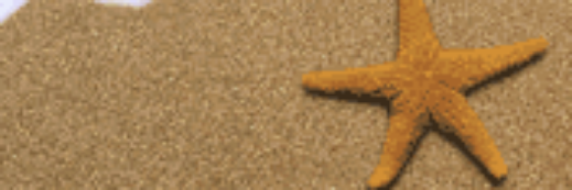 reedthis1's profile banner image