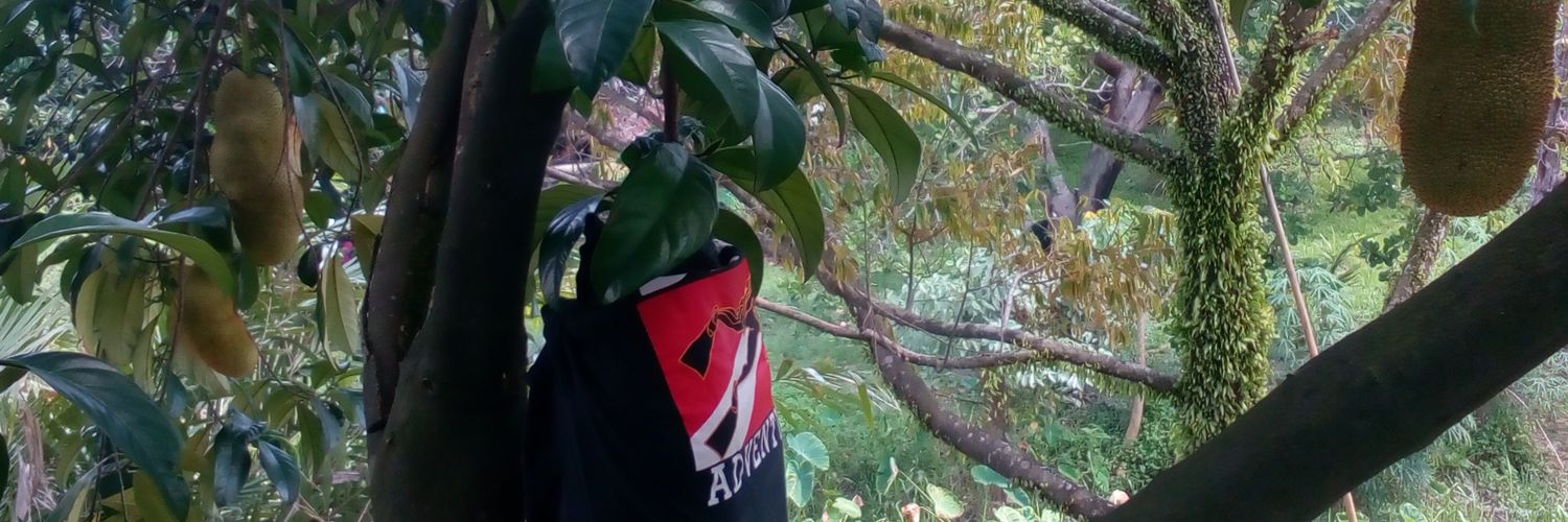 abgziz's profile banner image