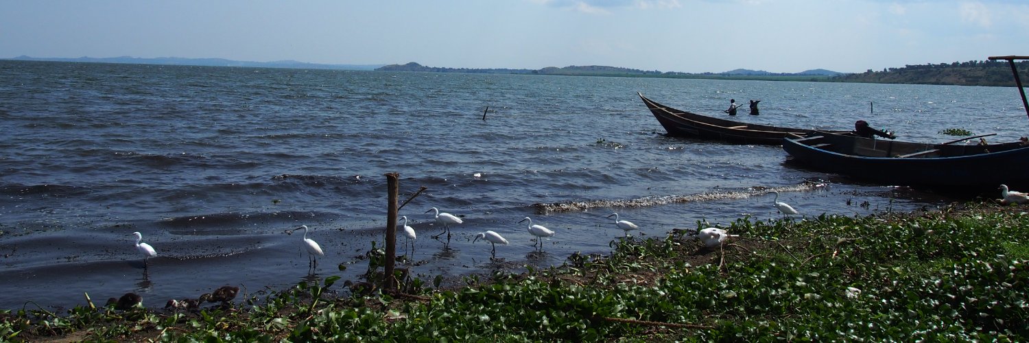 Christina Faust banner