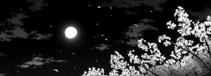 gardenlunaaa43's profile banner image