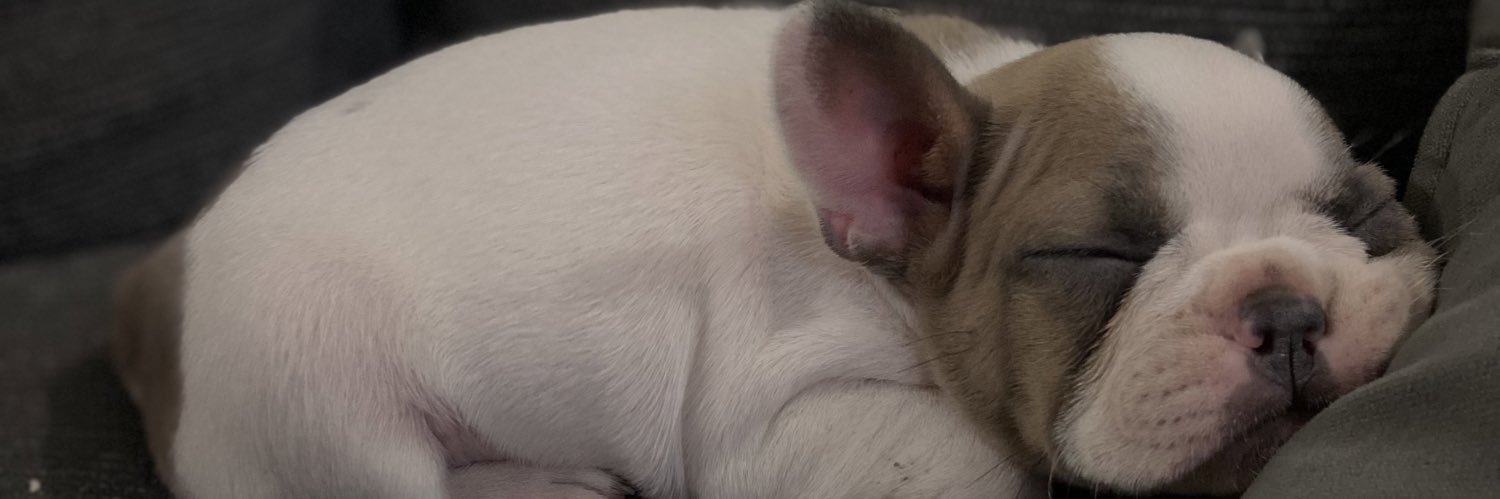 Braii_Schulz_'s profile banner image