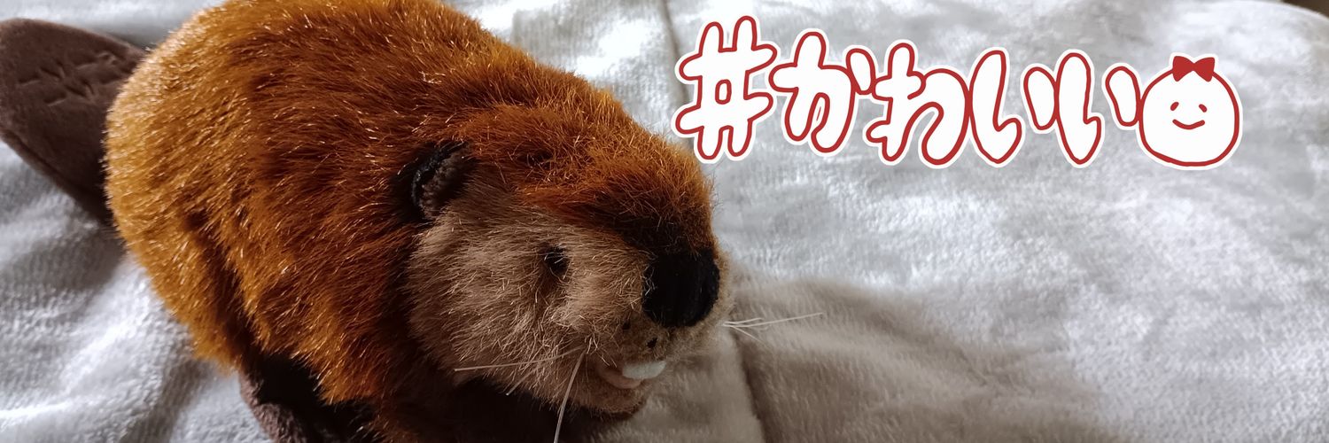 SONI🍥🕙アイコンはピンク岩塩1カラットぐでさん❤ヘッダーはBEAVERちゃんです✨ banner
