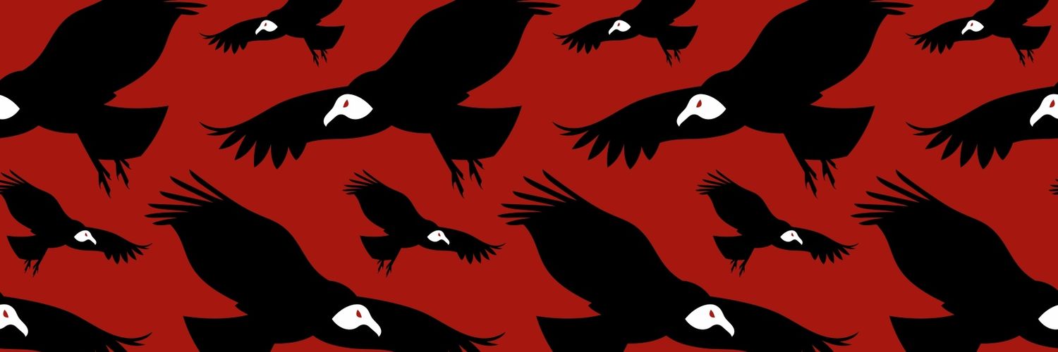 VarellaBruno's profile banner image