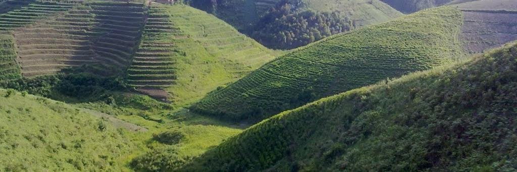 Doreen Kagarama banner