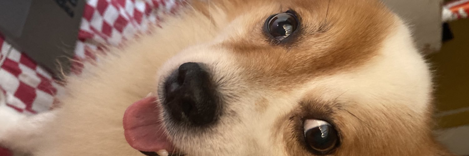 rezgioz's profile banner image