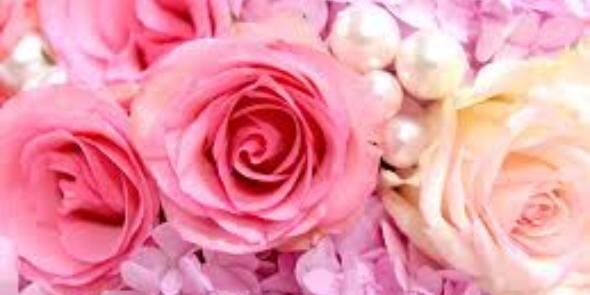 ImperfectLoveee's profile banner image