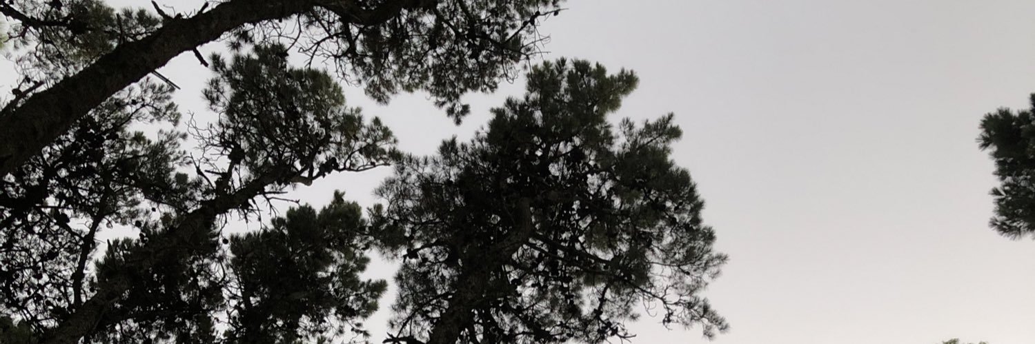 Caarlu59's profile banner image