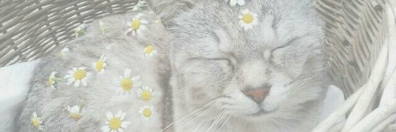 zxynmine's profile banner image