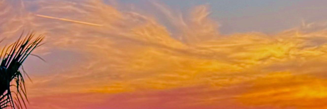 josediaz116's profile banner image