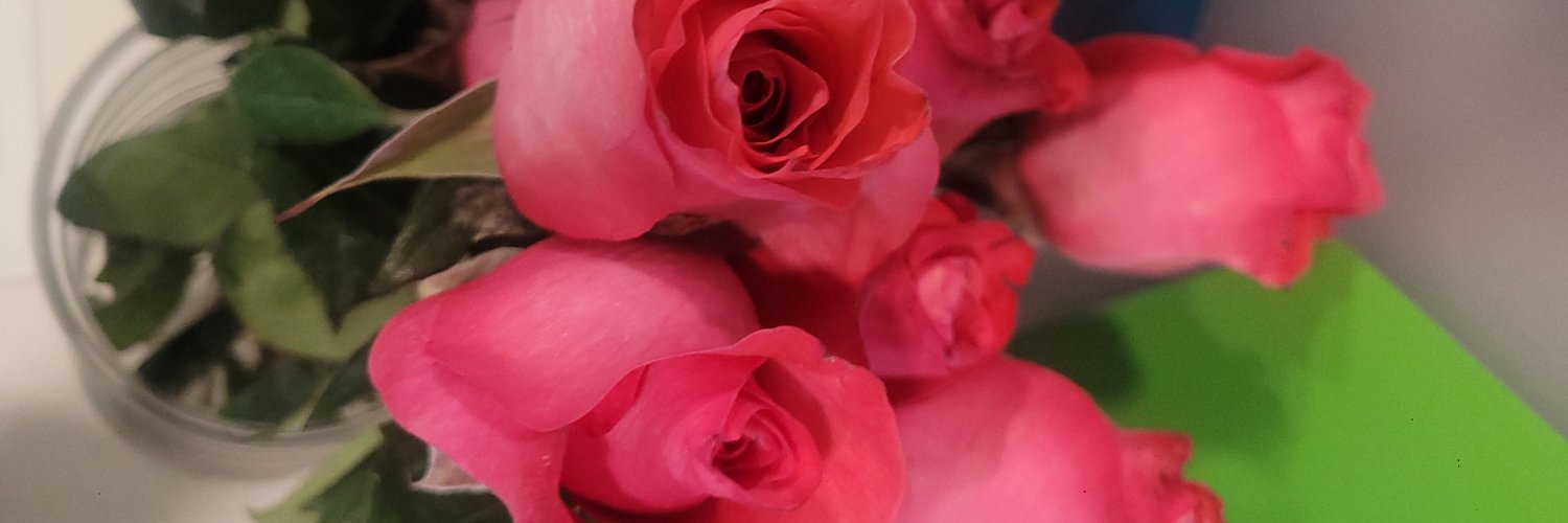 lenorapoora's profile banner image