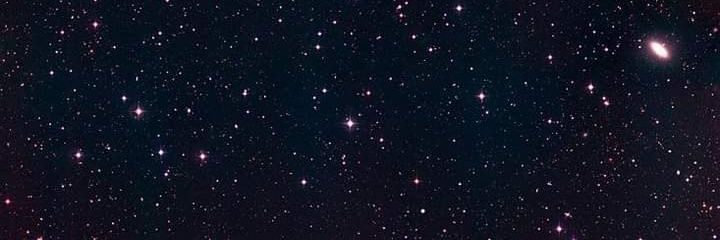 maimaamoun52's profile banner image