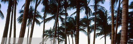 __weirdchild28's profile banner image