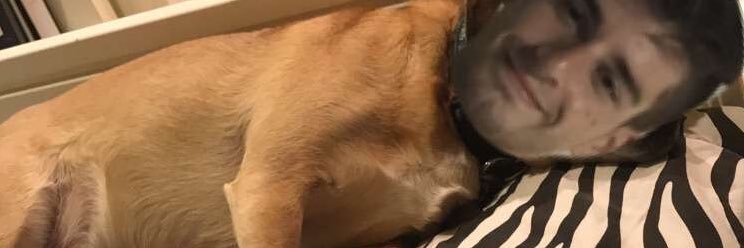 AriSimmons's profile banner image