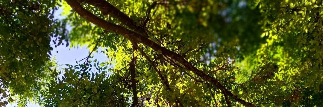 95_o0's profile banner image