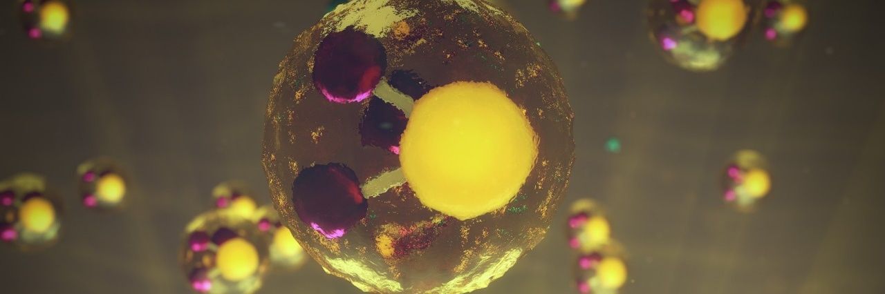 Leslie Monroy banner