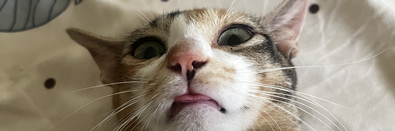 agent_fabulous's profile banner image