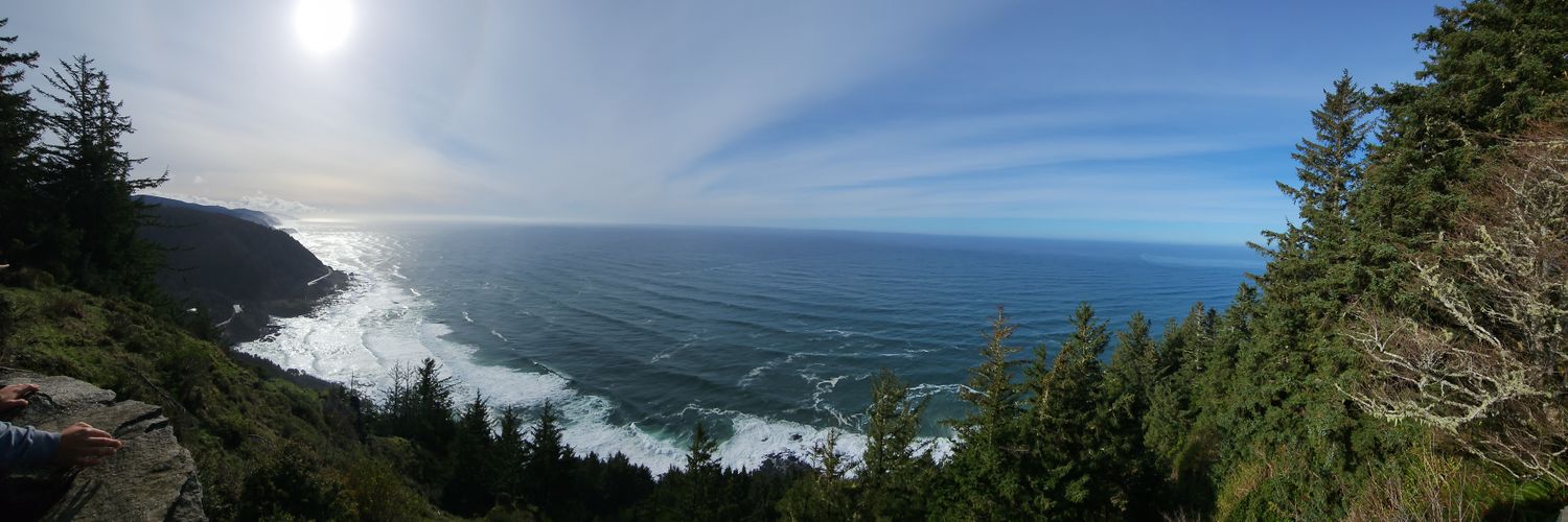 Brittany Counts banner