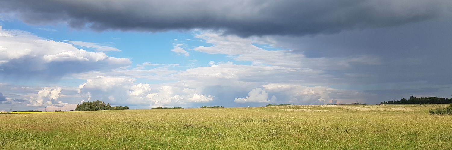 bloatable's profile banner image