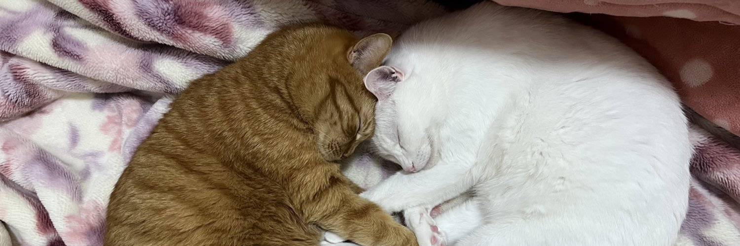 みみのすけ banner