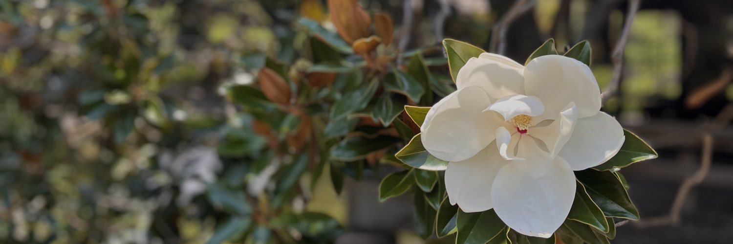 dlrsofia's profile banner image