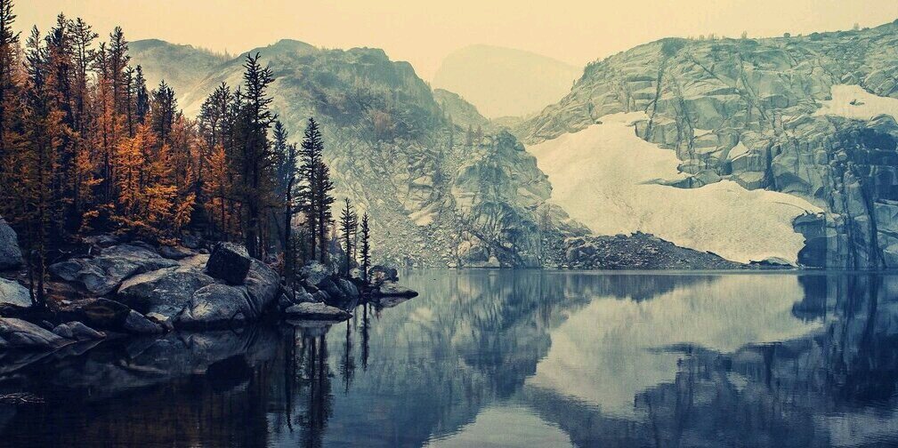 Buddy Lechner banner