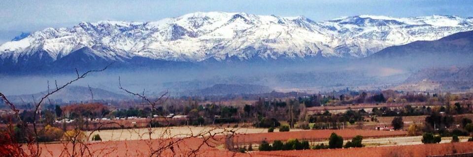 CaroCruz's profile banner image