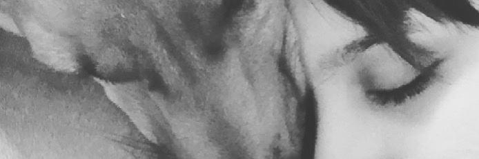 PauArrigo's profile banner image