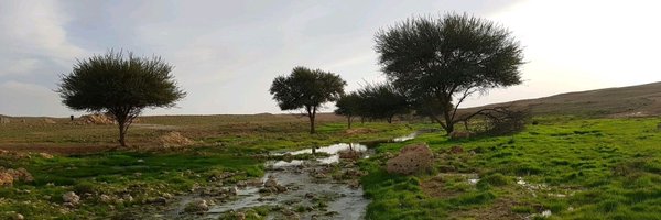 SalehAlhuqayl Profile Banner