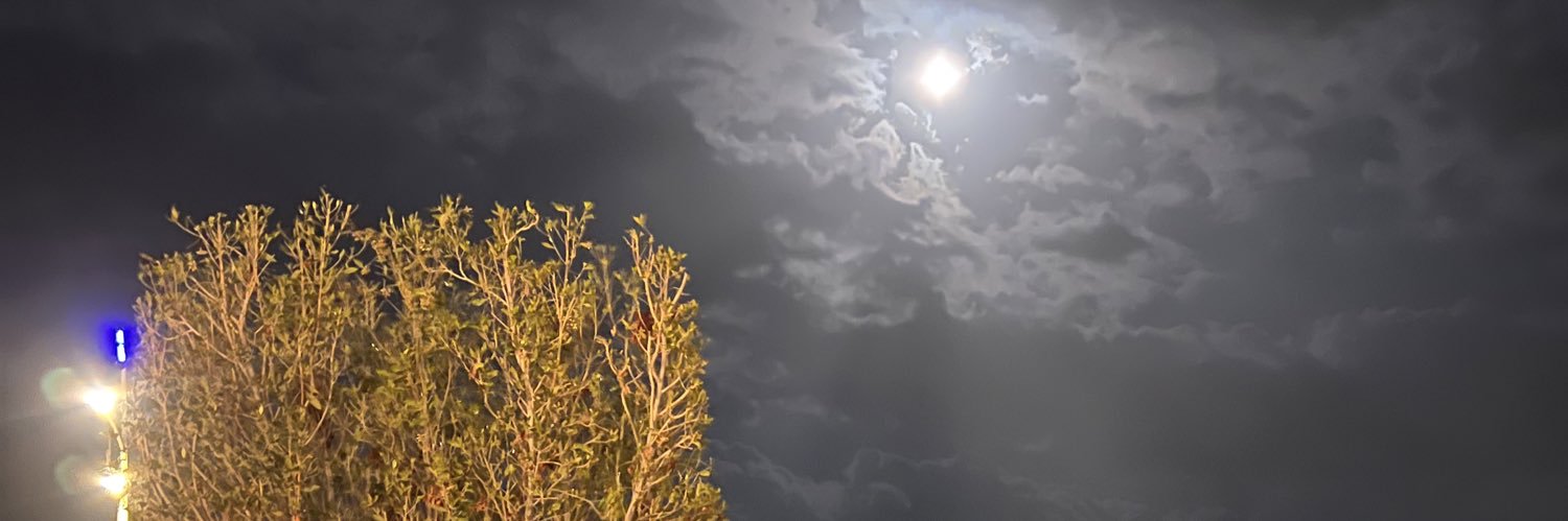 iiusf_'s profile banner image