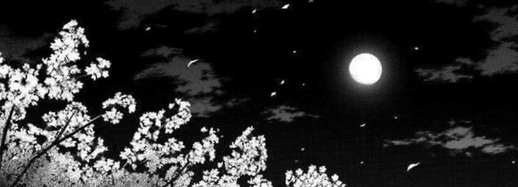 zachroy14's profile banner image