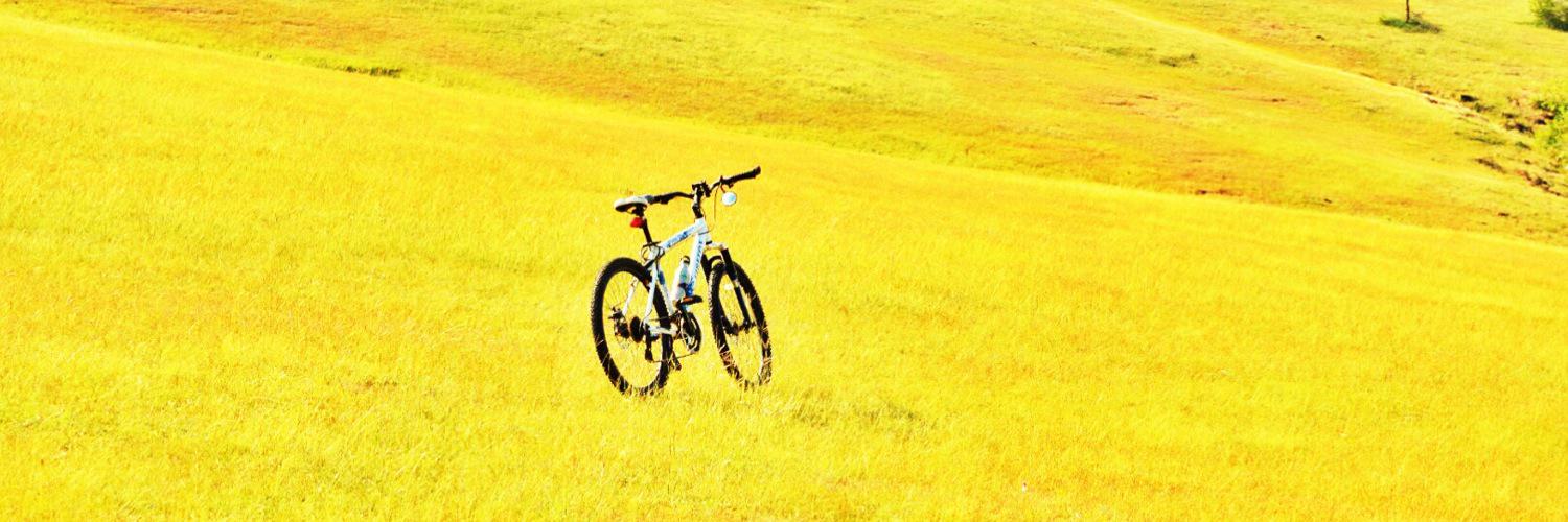 Ashish Gadekar banner