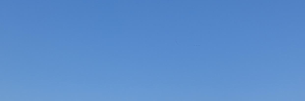 0xansh's profile banner image