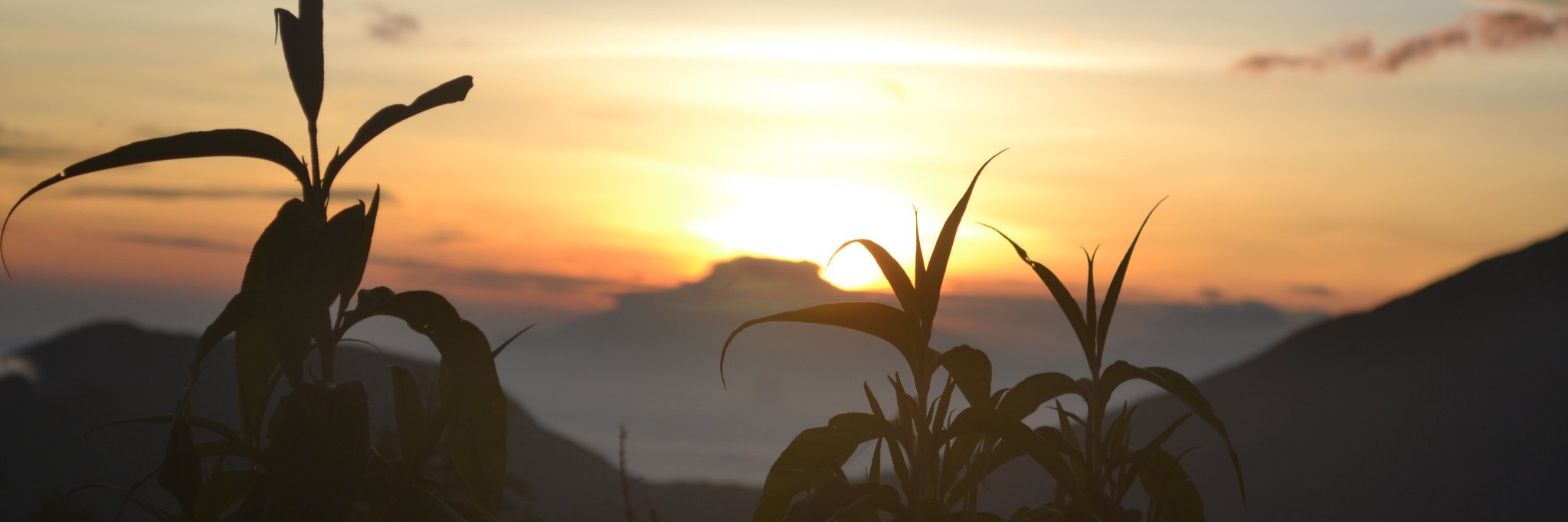 Ayudianns's profile banner image