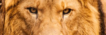 _ConnorManthey's profile banner image