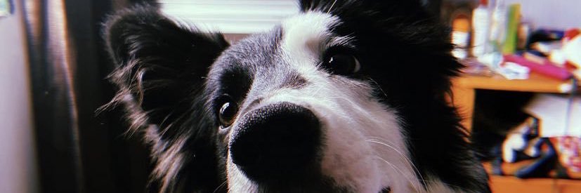 MelanieDebrey's profile banner image
