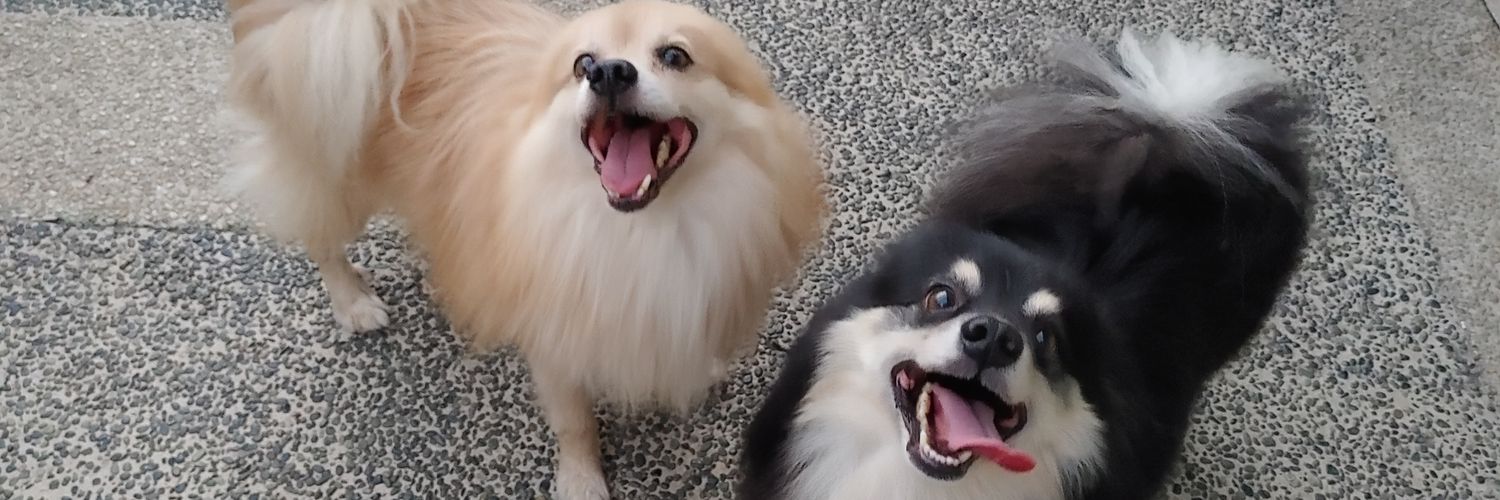Danegoy's profile banner image