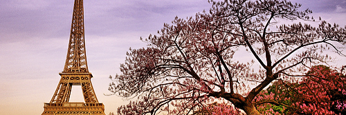 danilofarias27's profile banner image