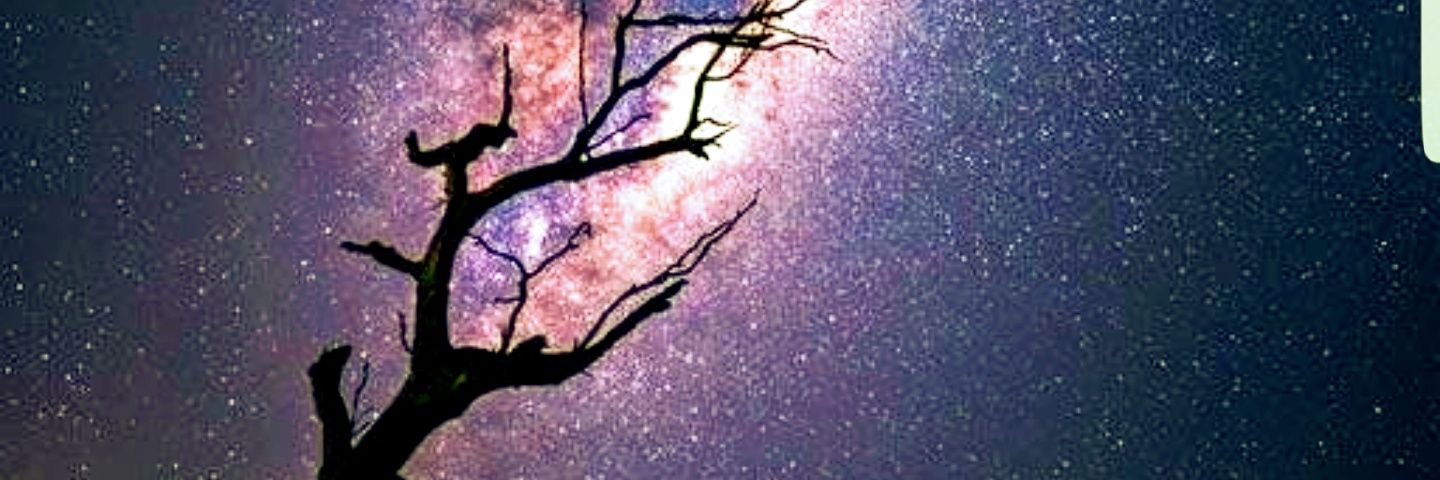 LizzieSaurasRex's profile banner image