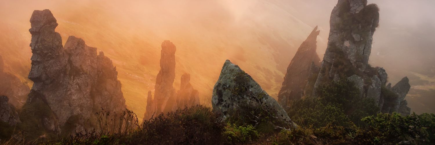 KellyTairi's profile banner image