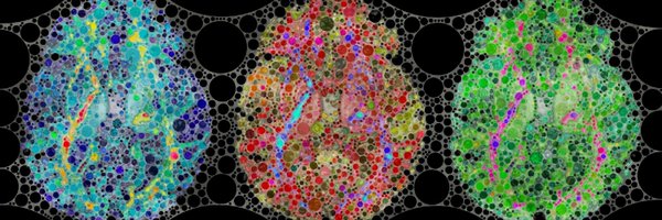 MichelTdS Profile Banner