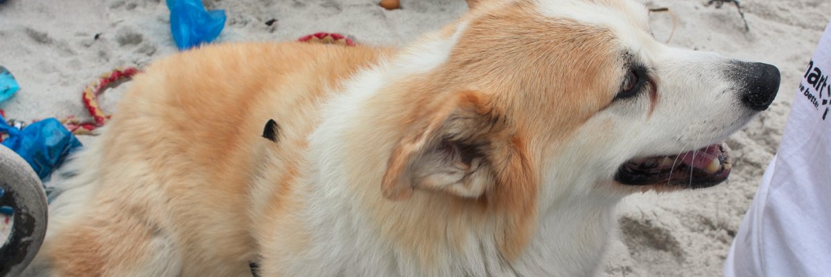 cshafton's profile banner image