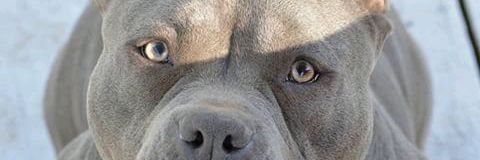 eltele1's profile banner image