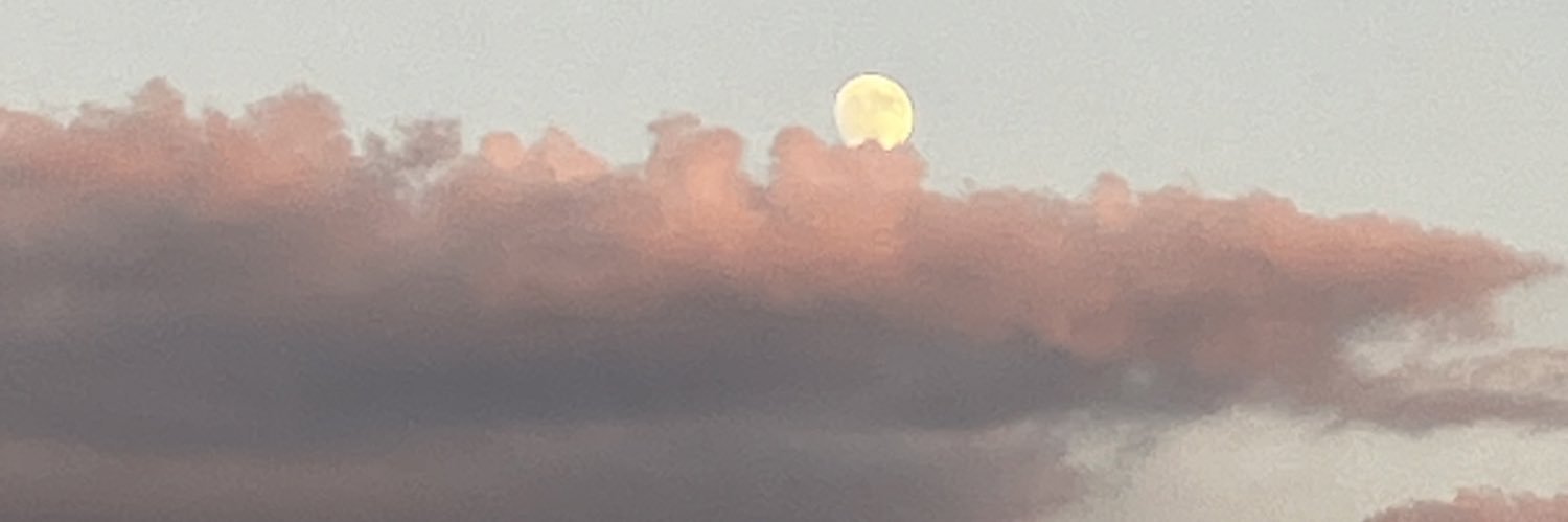spacemovie's profile banner image