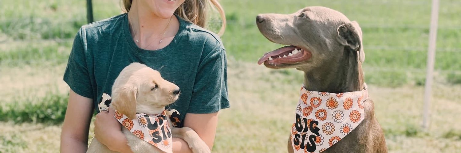 KaylynZyskowski's profile banner image