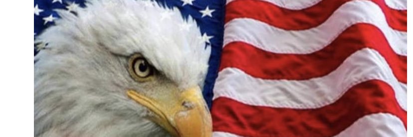 DainoMichael's profile banner image