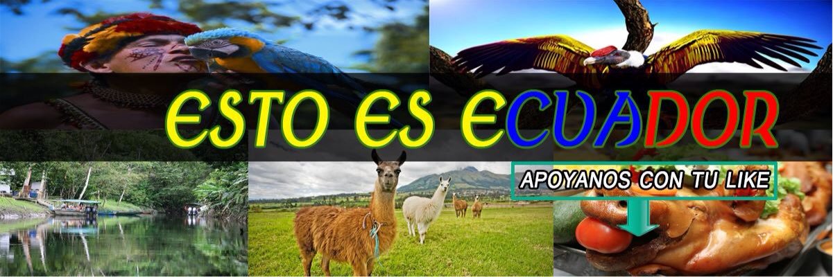 estoesecuador's profile banner image